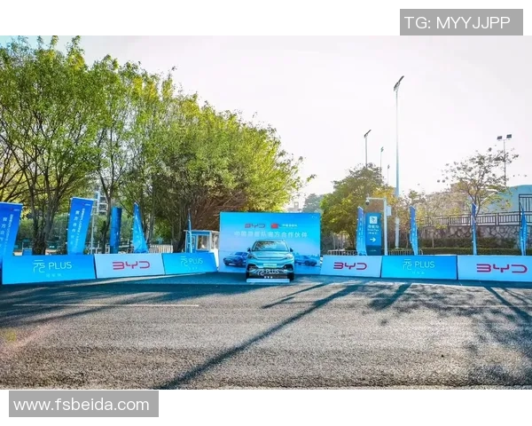 滑板战术排行榜揭晓上海滑板队荣登第六名展现实力与潜力